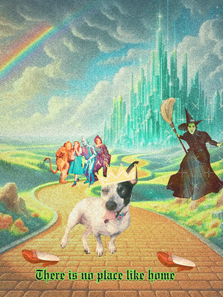 Thereis no place like home.1png